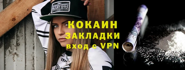 прущие грибы Гусь-Хрустальный