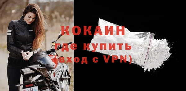 гидра Гусев