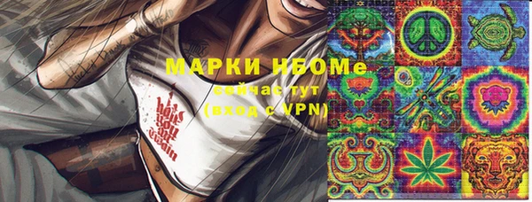гидра Гусев