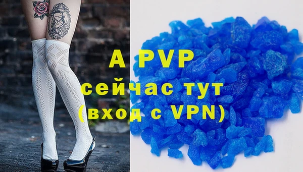 гидра Гусев