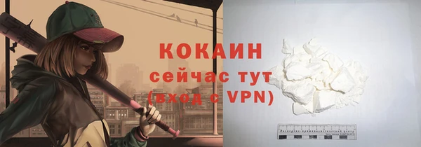 гидра Гусев