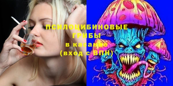 гидра Гусев