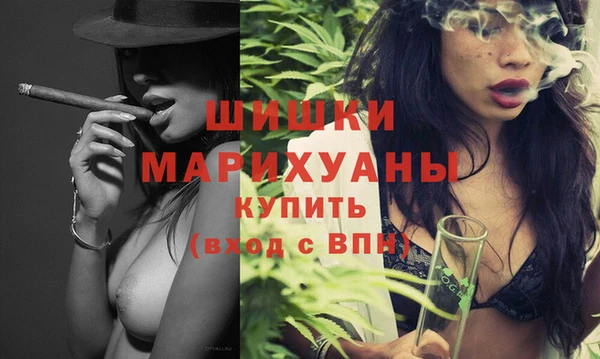 гидра Гусев