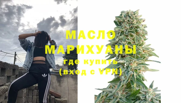 гидра Гусев