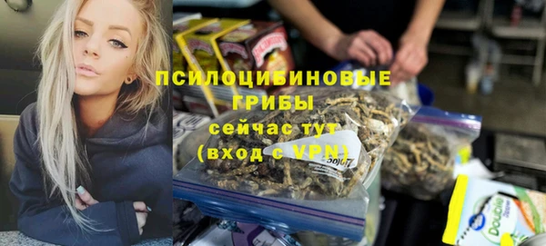 прущие грибы Гусь-Хрустальный
