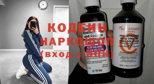 гидра Гусев