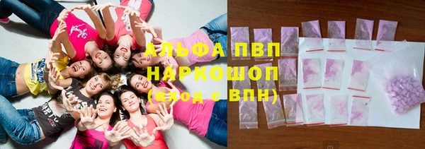 стафф Гусиноозёрск