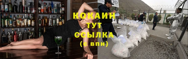 гидра Гусев