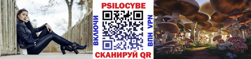 Псилоцибиновые грибы Psilocybe где найти наркотики Ступино